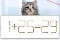 【マッチ棒パズル】正しい式にしよう！「1+25=29」【毎日脳トレ】