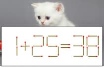 【マッチ棒パズル】正しい式にしよう！「1+25=38」【毎日脳トレ】