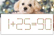 【マッチ棒パズル】正しい式にしよう！「1+25=90」【毎日脳トレ】