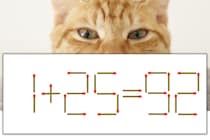 【マッチ棒パズル】正しい式にしよう！「1+25=92」【毎日脳トレ】