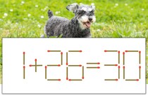【マッチ棒パズル】正しい式にしよう！「1+26=30」【毎日脳トレ】