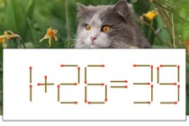 【マッチ棒パズル】正しい式にしよう！「1+26=39」【毎日脳トレ】