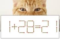 【マッチ棒パズル】正しい式にしよう！「1+28=21」【毎日脳トレ】