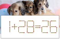 【マッチ棒パズル】正しい式にしよう！「1+28=26」【毎日脳トレ】