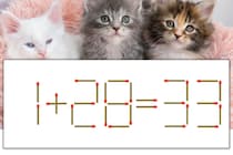 【マッチ棒パズル】正しい式にしよう！「1+28=33」【毎日脳トレ】