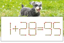 【マッチ棒パズル】正しい式にしよう！「1+28=95」【毎日脳トレ】