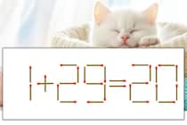 【マッチ棒パズル】正しい式にしよう！「1+29=20」【毎日脳トレ】