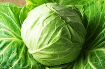 ポテサラに「あの液体」でトロトロの店味！カリほくブロッコリーと春キャベツの最強保存ワザ