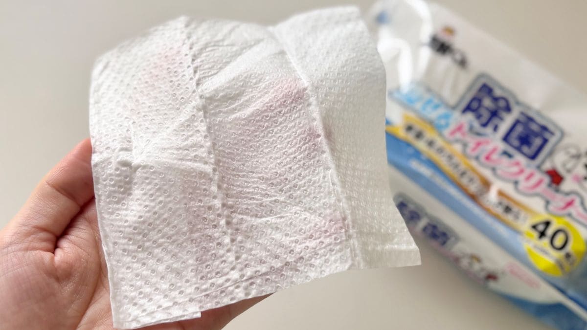 「トイレ掃除の使い捨てブラシ」を100均で発見！ 代用品も要チェック【ダイソー・セリア・キャンドゥ】