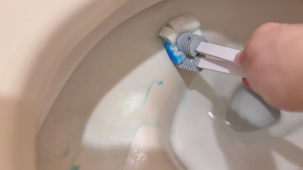 「トイレ掃除の使い捨てブラシ」を100均で発見！ 代用品も要チェック【ダイソー・セリア・キャンドゥ】