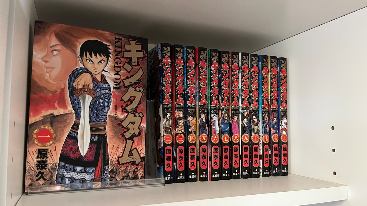 100均で本棚整理グッズを買って試してみた！【ダイソー・セリア・キャン★ドゥ】