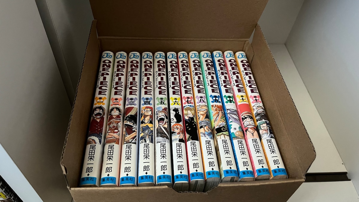 100均で本棚整理グッズを買って試してみた!【ダイソー・セリア・キャン★ドゥ】