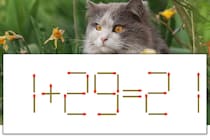 【マッチ棒パズル】正しい式にしよう！「1+29=21」【毎日脳トレ】