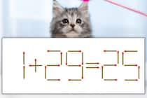 【マッチ棒パズル】正しい式にしよう！「1+29=25」【毎日脳トレ】