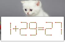 【マッチ棒パズル】正しい式にしよう！「1+29=27」【毎日脳トレ】