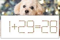【マッチ棒パズル】正しい式にしよう！「1+29=28」【毎日脳トレ】