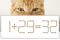 【マッチ棒パズル】正しい式にしよう！「1+29=32」【毎日脳トレ】