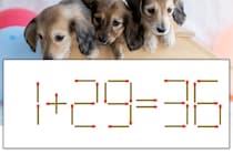【マッチ棒パズル】正しい式にしよう！「1+29=36」【毎日脳トレ】