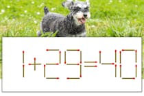 【マッチ棒パズル】正しい式にしよう！「1+29=40」【毎日脳トレ】