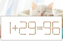 【マッチ棒パズル】正しい式にしよう！「1+29=96」【毎日脳トレ】