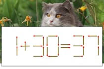 【マッチ棒パズル】正しい式にしよう！「1+30=37」【毎日脳トレ】