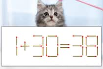 【マッチ棒パズル】正しい式にしよう！「1+30=38」【毎日脳トレ】