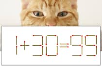 【マッチ棒パズル】正しい式にしよう！「1+30=99」【毎日脳トレ】