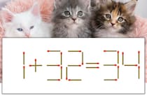 【マッチ棒パズル】正しい式にしよう！「1+32=34」【毎日脳トレ】