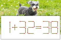 【マッチ棒パズル】正しい式にしよう！「1+32=38」【毎日脳トレ】