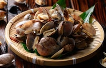 15分で完了「アサリの砂抜き」裏ワザ！包丁いらずの「ひき肉親子丼」と春雨サラダで賢く時短