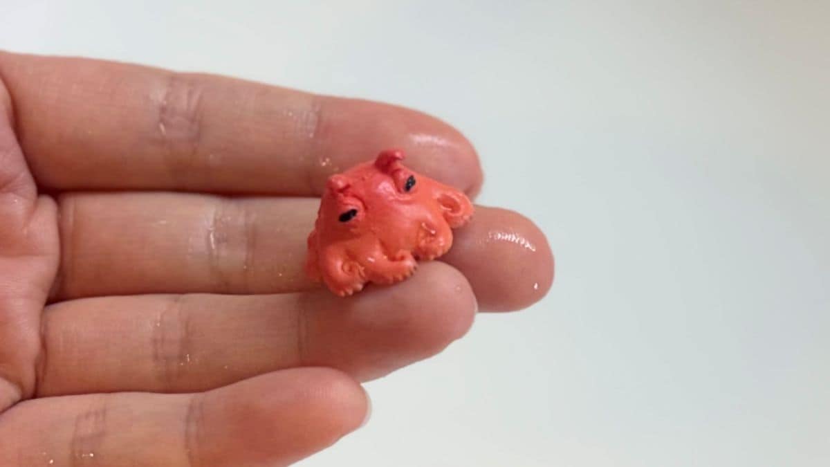 100均のバスボール開封レビュー！ 親子で楽しいお風呂タイム♪【ダイソー・セリア・キャンドゥ】