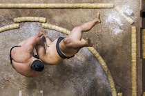 伊勢ケ浜親方の暴行発覚で揺れる相撲界の「闇」、侍ジャパン「内紛」の真相と最低成績への警鐘