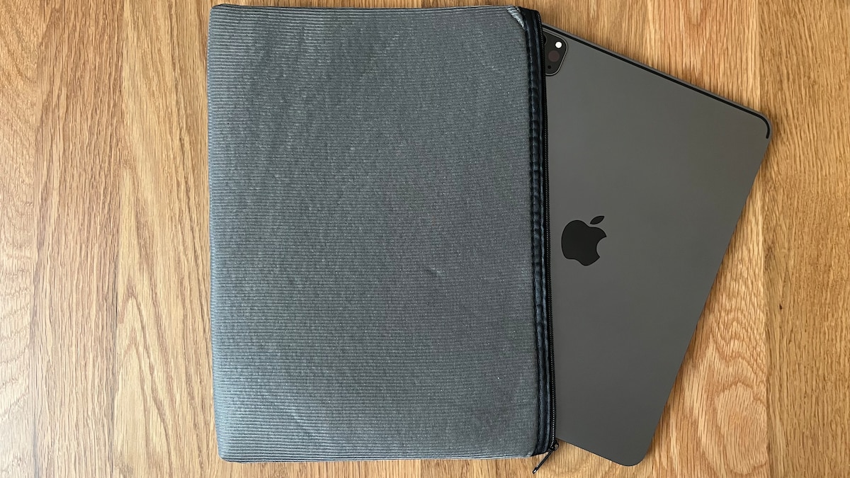 100均のiPadケースって実際どう？ダイソー・セリア・キャン★ドゥで買ってみた！