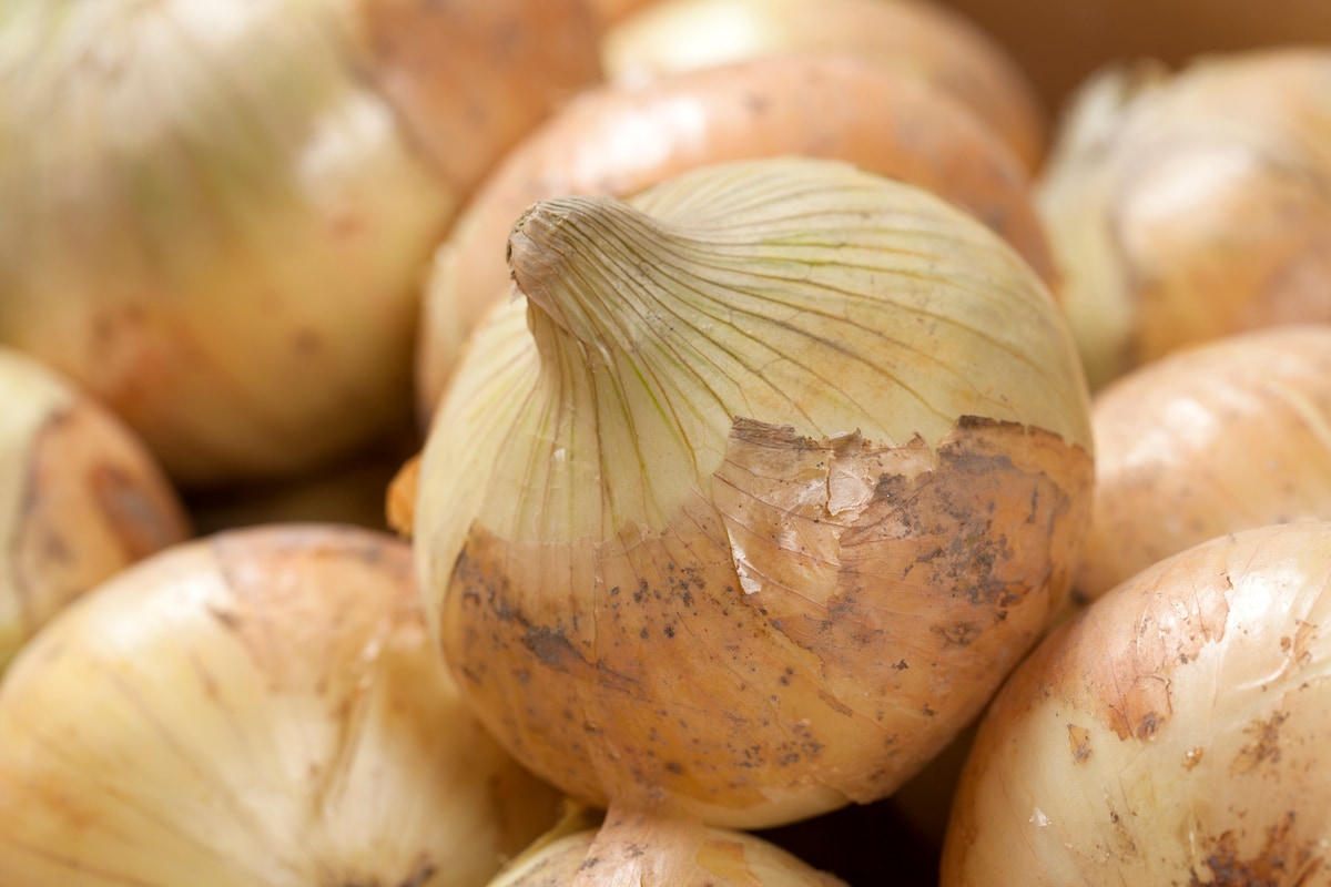 新玉ねぎを味わい尽くす！「パックのまま豚バラ南蛮」の時短術と爽やかクッキーサンドアイス