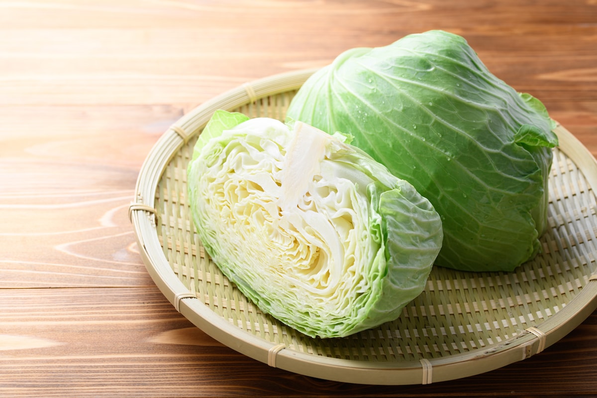ブロッコリー保存の正解は？春キャベツ「10分放置」の絶品レシピと食パン1枚で作るホットサンド術