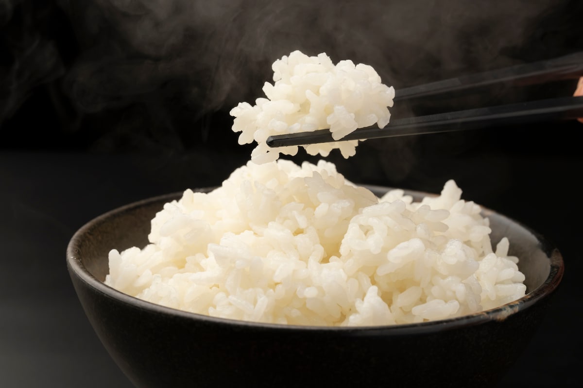家庭用精米機で毎日「極上ごはん」を！10分バーガー風トルティーヤとレンジで驚きの肉汁ハンバーグ