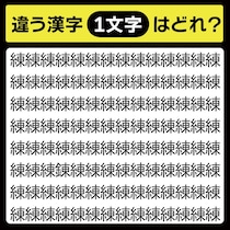 「練の中に隠れてるのは？」漢字間違い探しで脳トレしよう！【毎日脳トレ】【クイズ】