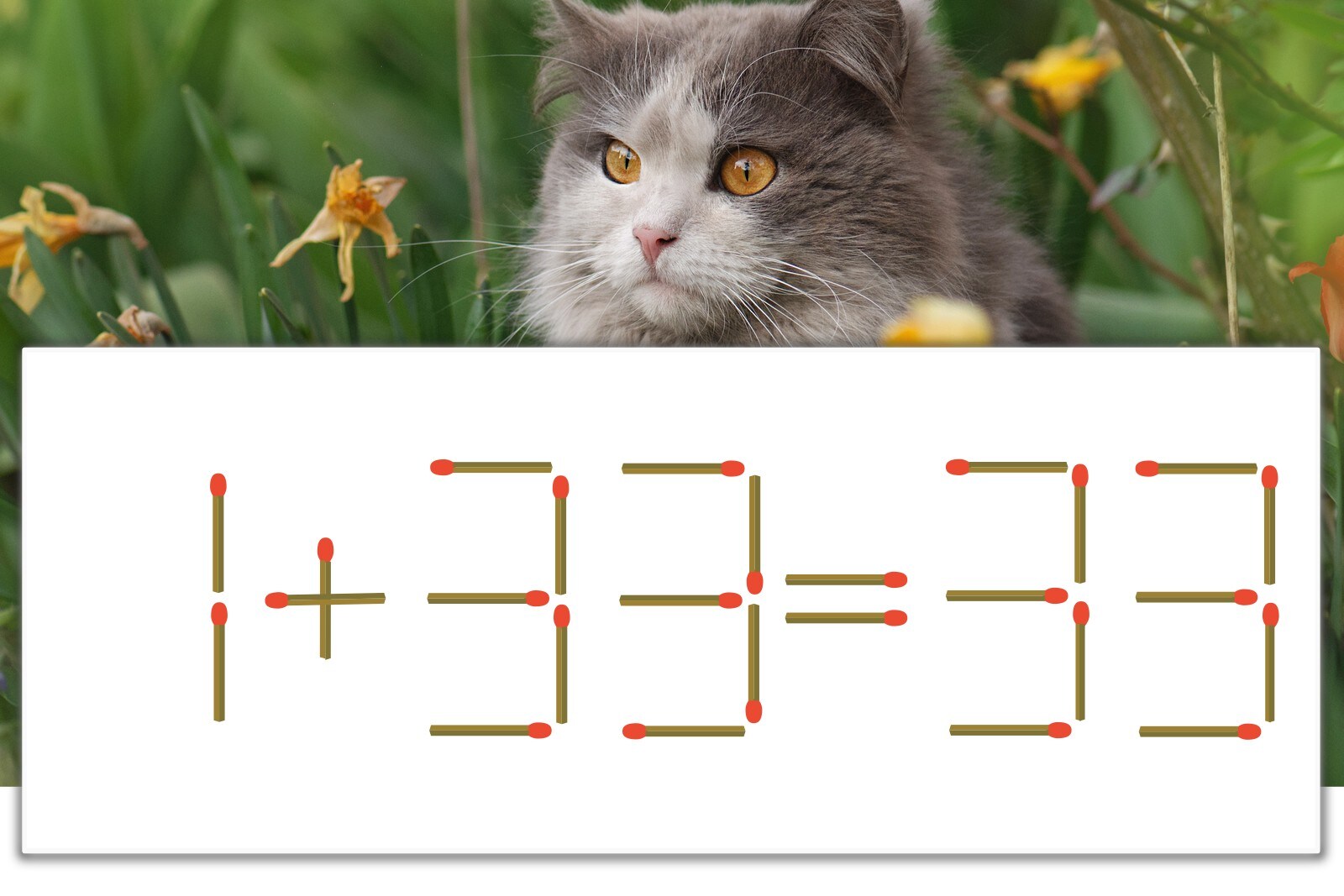 マッチ棒パズル】正しい式にしよう！「1+33=33」【毎日脳トレ 