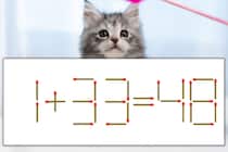 【マッチ棒パズル】正しい式にしよう！「1+33=48」【毎日脳トレ】