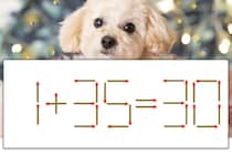 【マッチ棒パズル】正しい式にしよう！「1+35=30」【毎日脳トレ】
