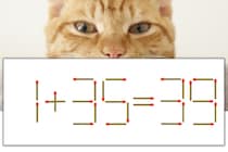 【マッチ棒パズル】正しい式にしよう！「1+35=39」【毎日脳トレ】