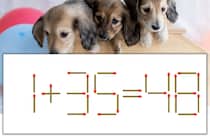【マッチ棒パズル】正しい式にしよう！「1+35=48」【毎日脳トレ】
