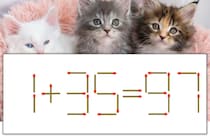 【マッチ棒パズル】正しい式にしよう！「1+35=97」【毎日脳トレ】