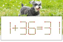 【マッチ棒パズル】正しい式にしよう！「1+36=31」【毎日脳トレ】