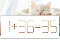 【マッチ棒パズル】正しい式にしよう！「1+36=35」【毎日脳トレ】