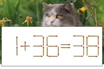 【マッチ棒パズル】正しい式にしよう！「1+36=38」【毎日脳トレ】