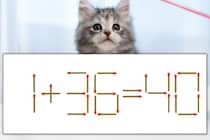 【マッチ棒パズル】正しい式にしよう！「1+36=40」【毎日脳トレ】