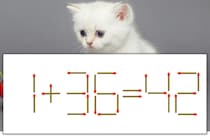 【マッチ棒パズル】正しい式にしよう！「1+36=42」【毎日脳トレ】