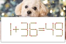 【マッチ棒パズル】正しい式にしよう！「1+36=49」【毎日脳トレ】