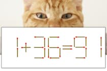 【マッチ棒パズル】正しい式にしよう！「1+36=91」【毎日脳トレ】